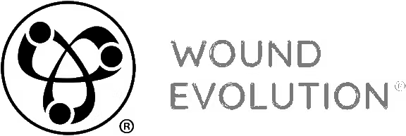 Wound Evolution